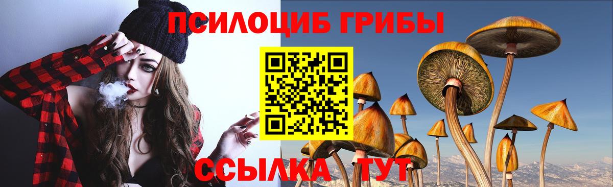 Киров  Галлюциногенные грибы ЛСД  купить наркоту  Вход с VPN 